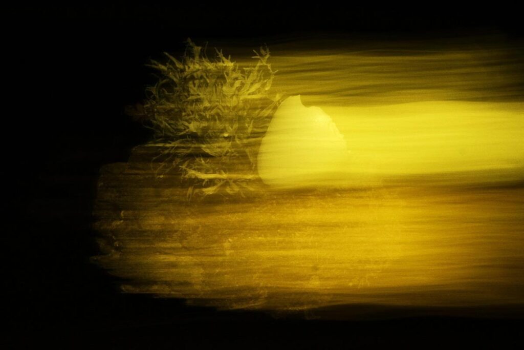 Limited Edition: "Emergence"