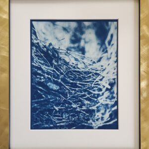 Limited Edition: "I found it in the forest"