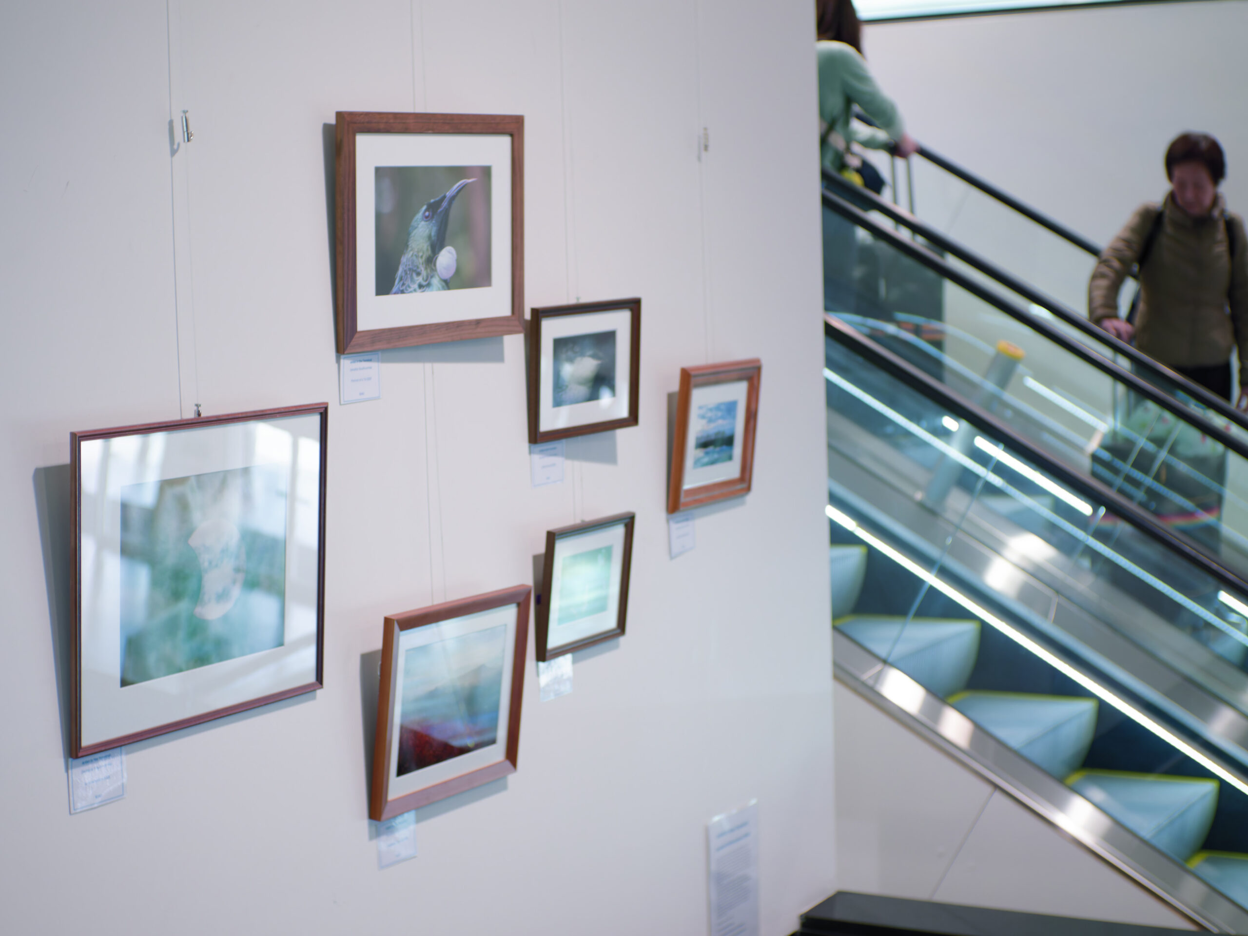 Solo Exhibition: A View From The Dwindle River