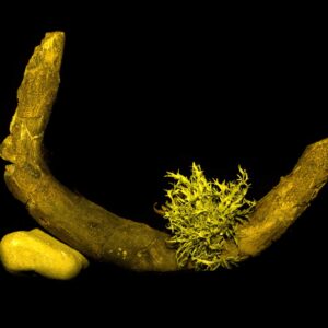 Open Edition: "Everything in balance"