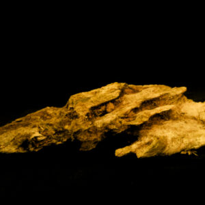 Open Edition: "Here there be dragons"