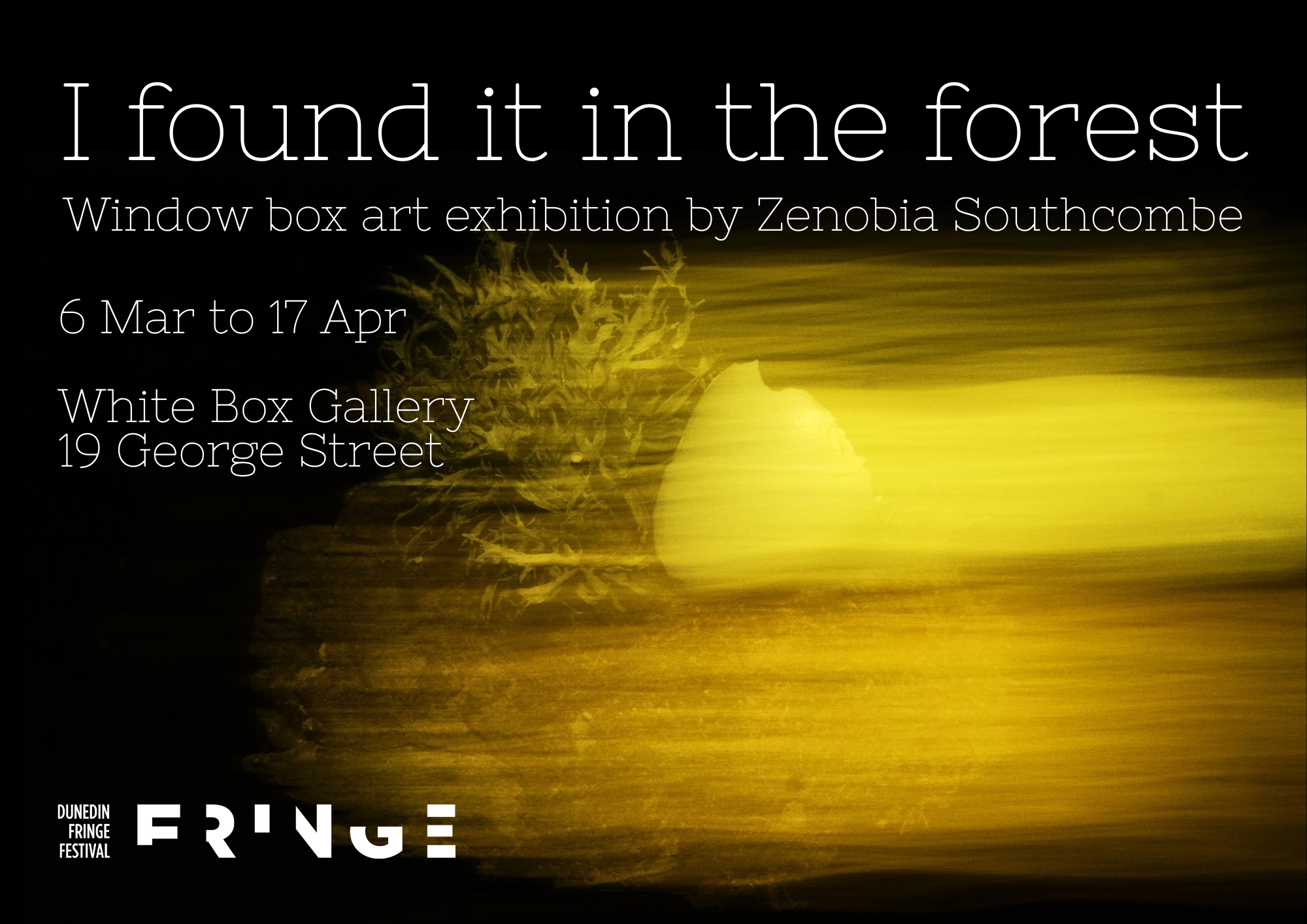 [ON NOW] Solo Exhibition: I found it in the forest