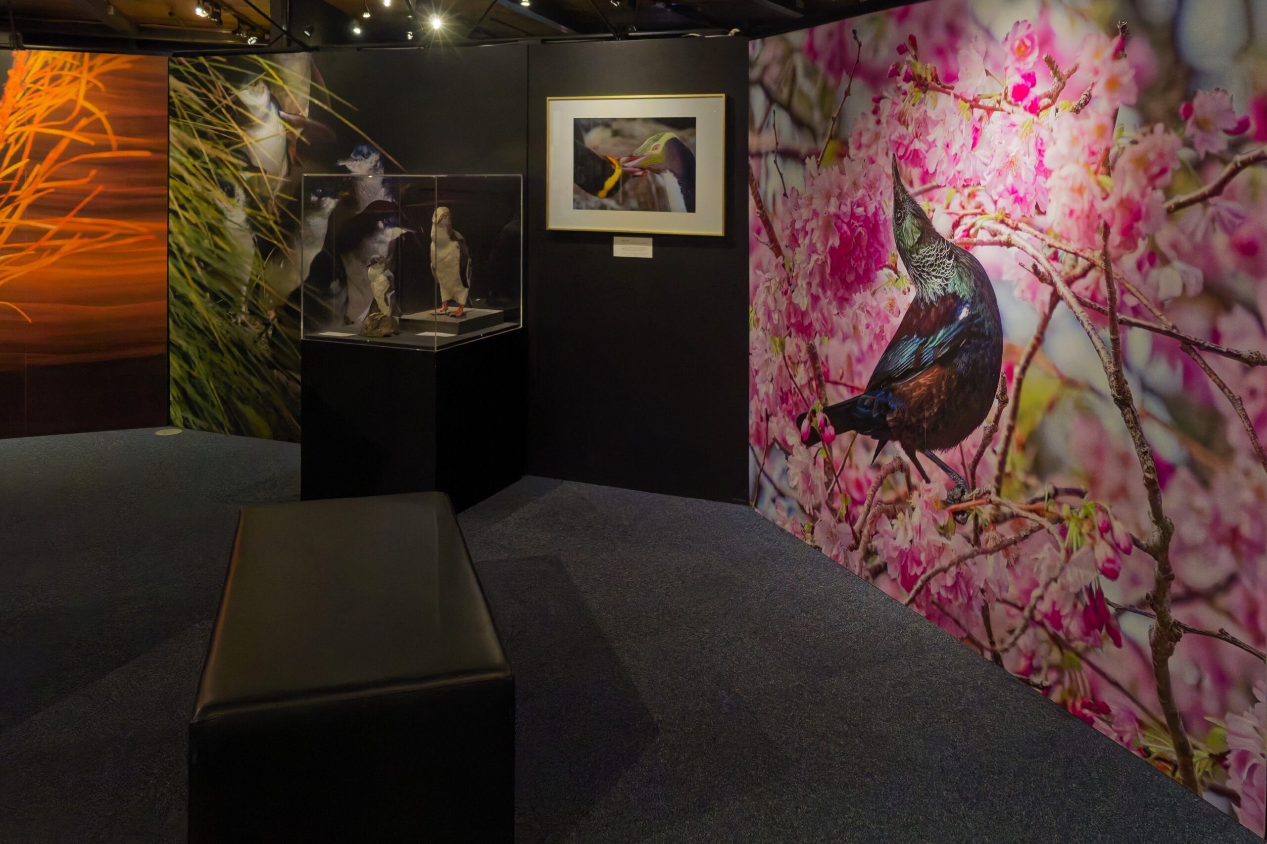 [ON NOW] Solo Exhibition: In Our Backyard