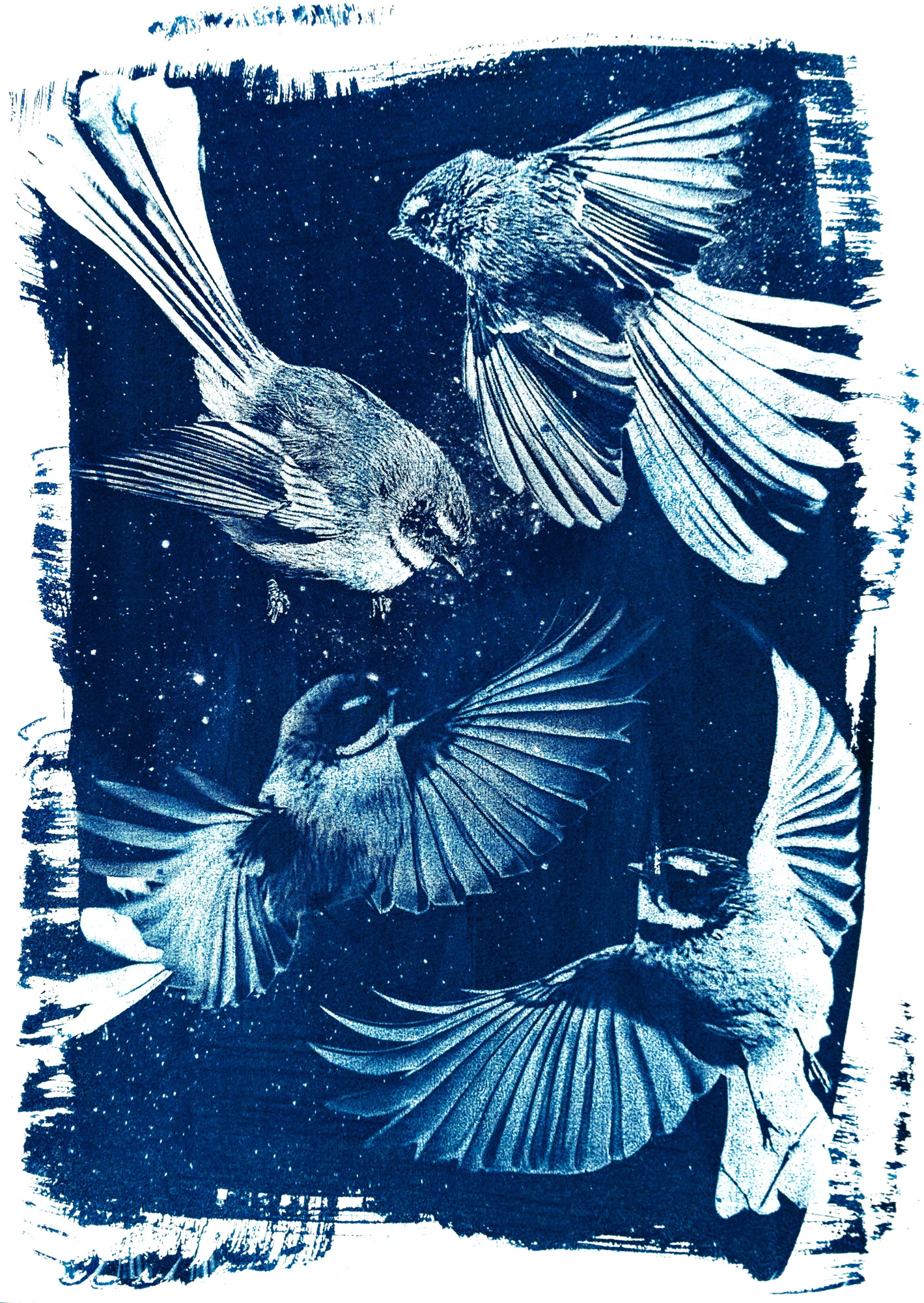 A4 Poster Print: Tipuāraki II - Image 4