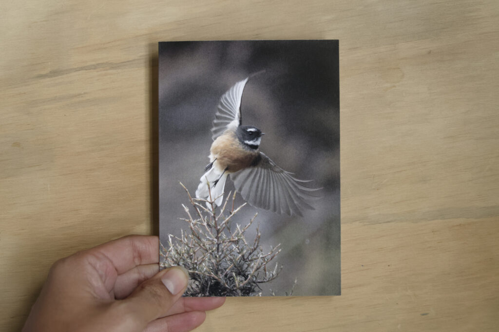 Greeting Card: Taking Flight