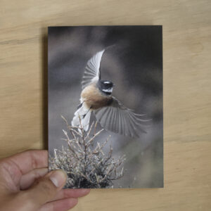 Greeting Card: Taking Flight