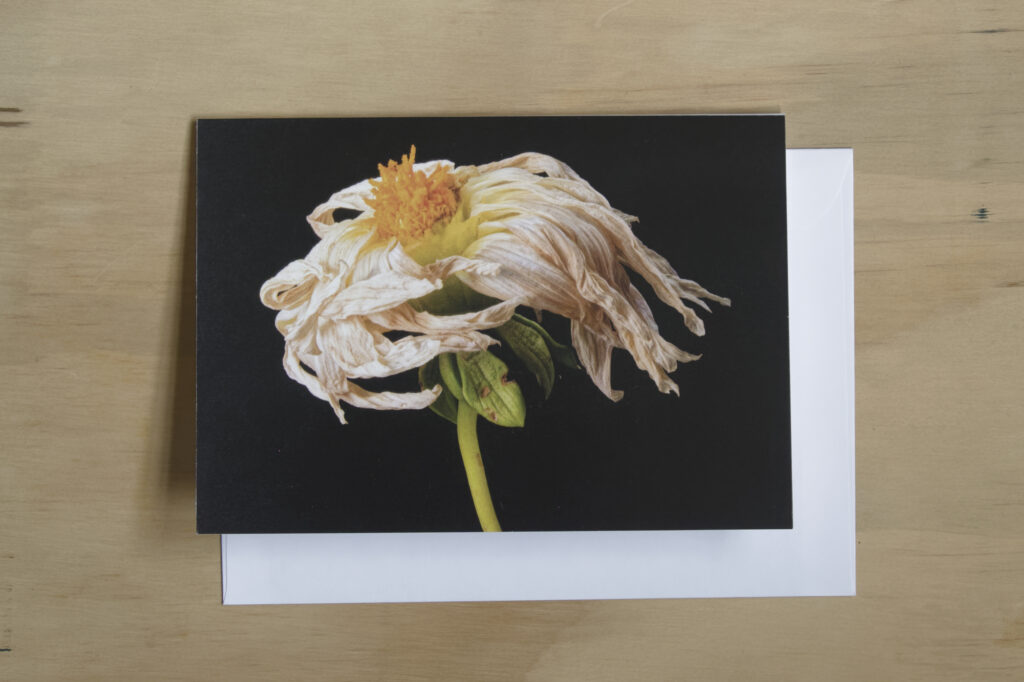 Greeting Card: The Dancer