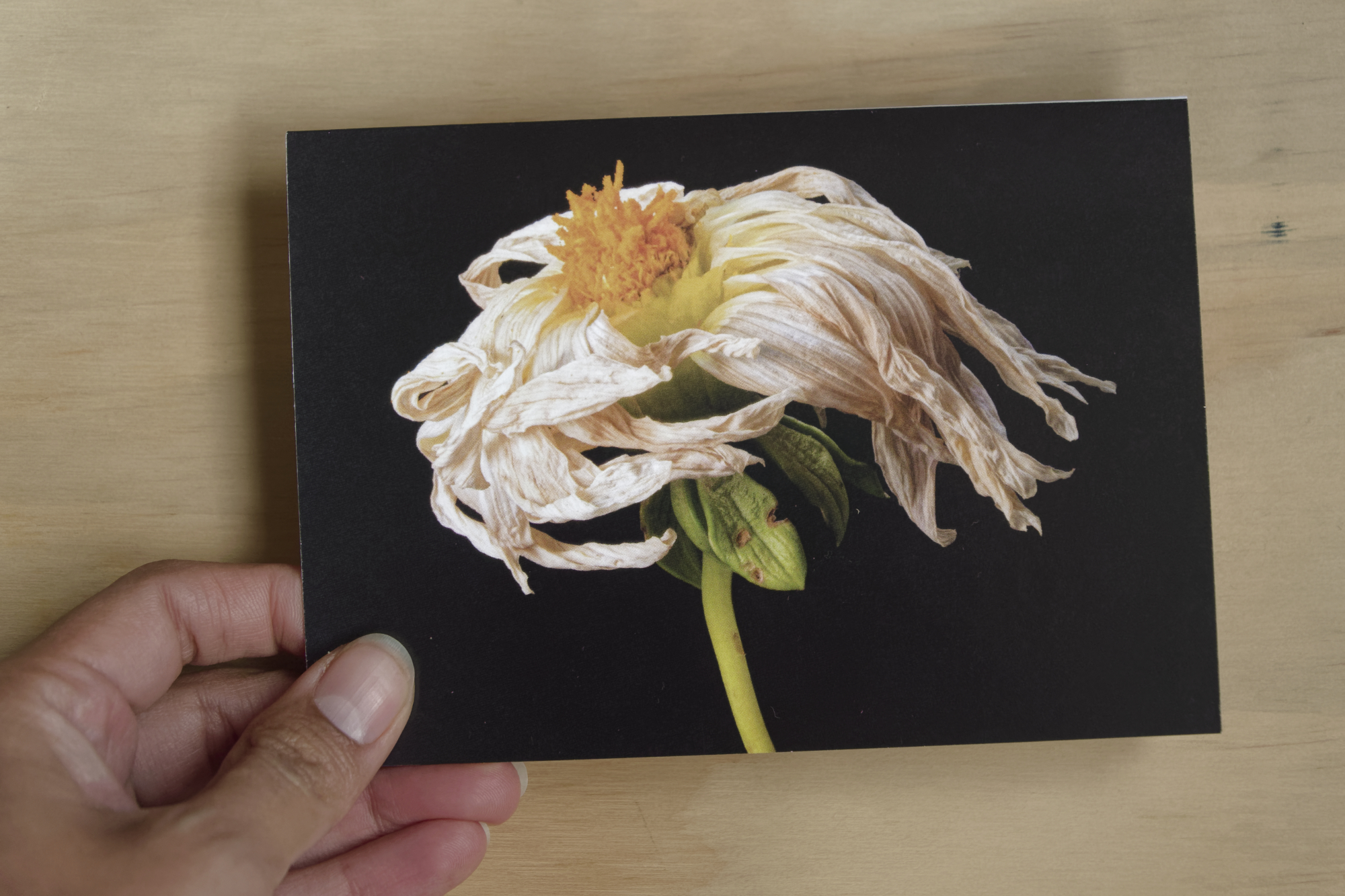 Greeting Card: The Dancer - Image 4