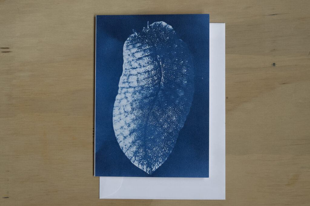 Greeting Card: Night Wanderer