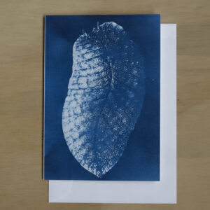 Greeting Card: Night Wanderer