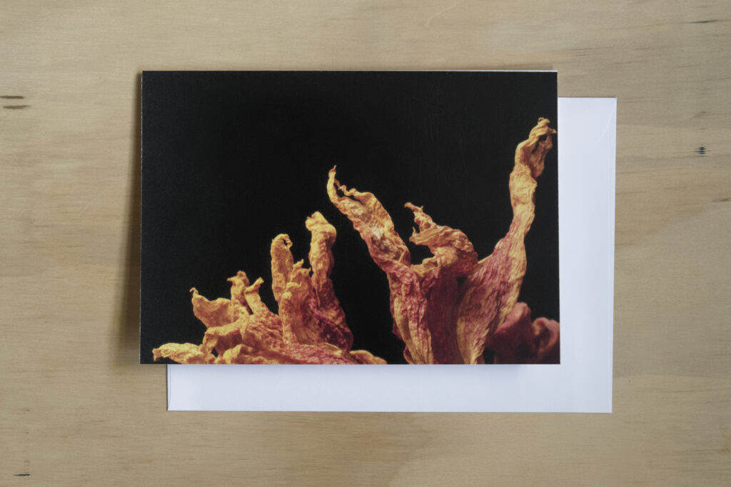 Greeting Card: Ever Reaching