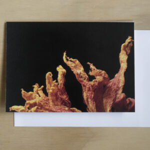 Greeting Card: Ever Reaching
