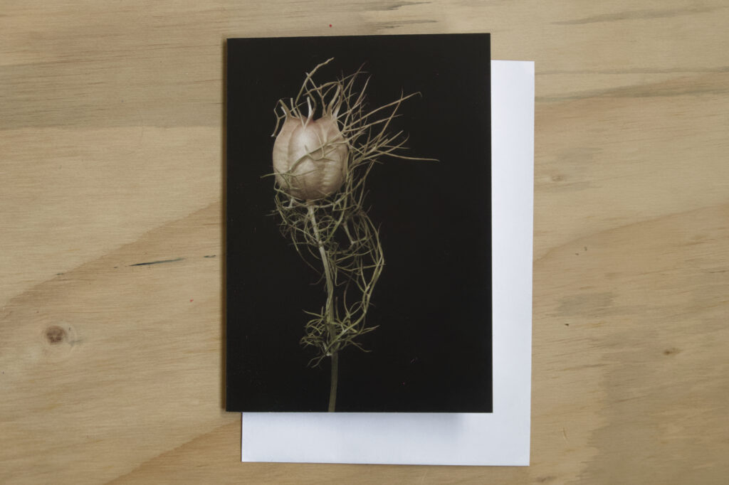 Greeting Card: Standing Tall
