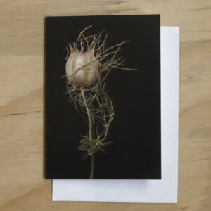 Greeting Card: Standing Tall