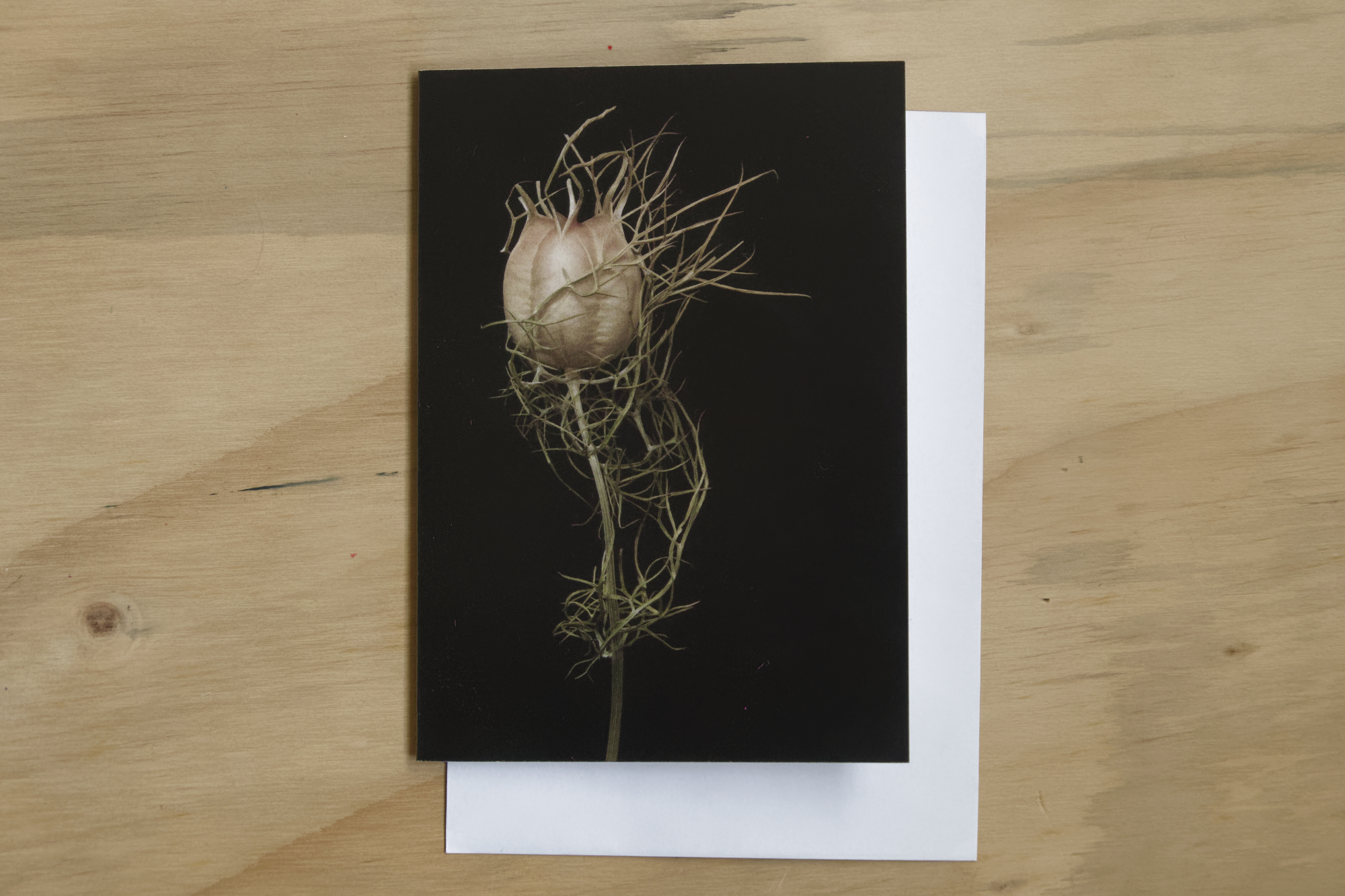Greeting Card: Standing Tall