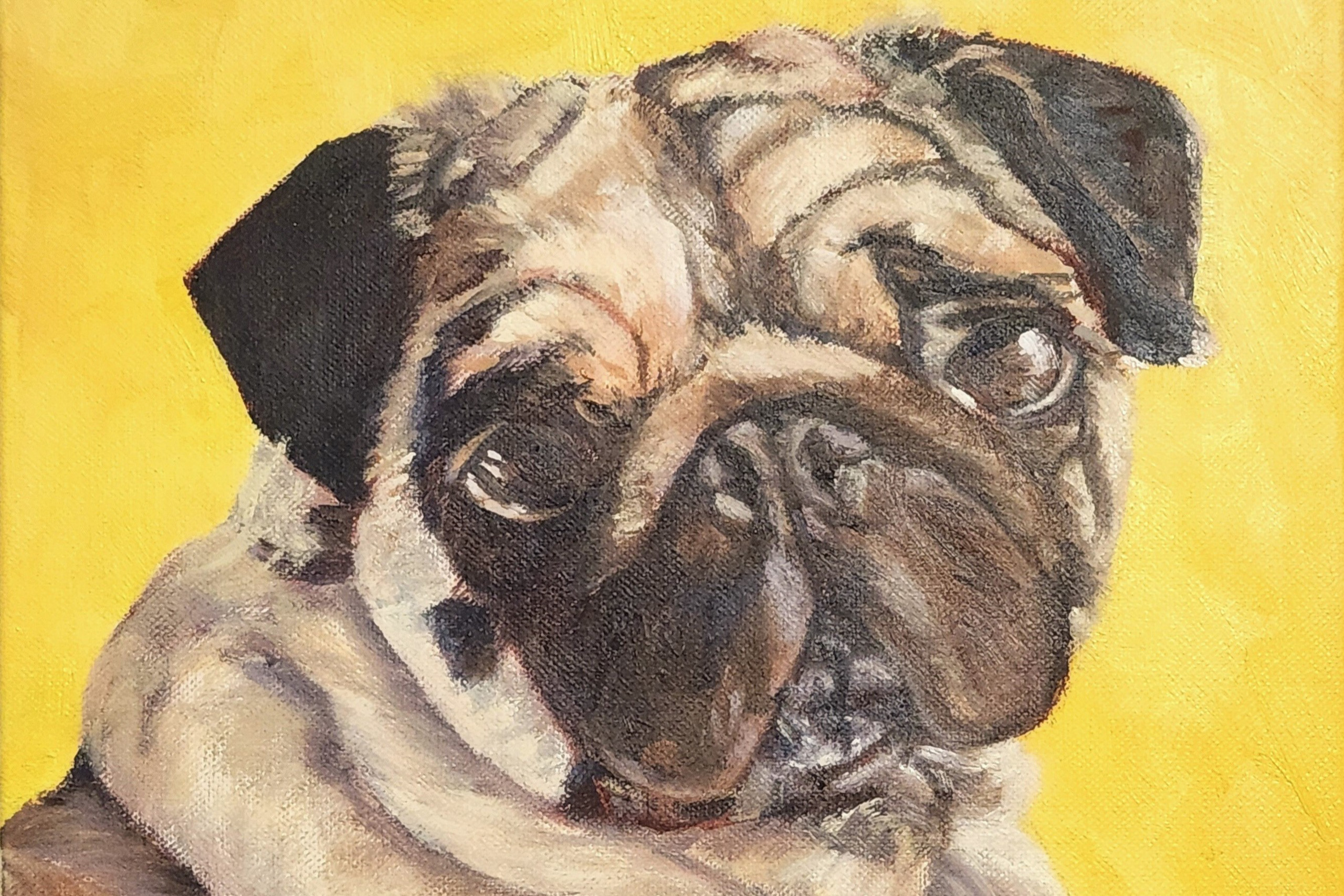 Pet Portrait (Deposit Only)