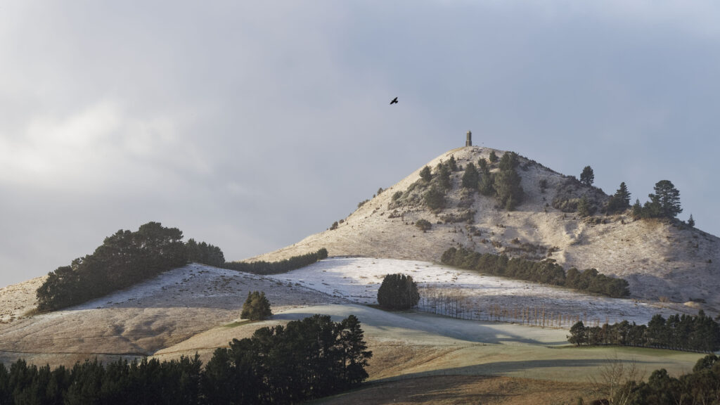 Greeting Card: Winter Wonderland (Puketapu)