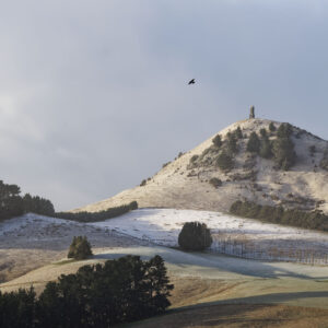 Greeting Card: Winter Wonderland (Puketapu)